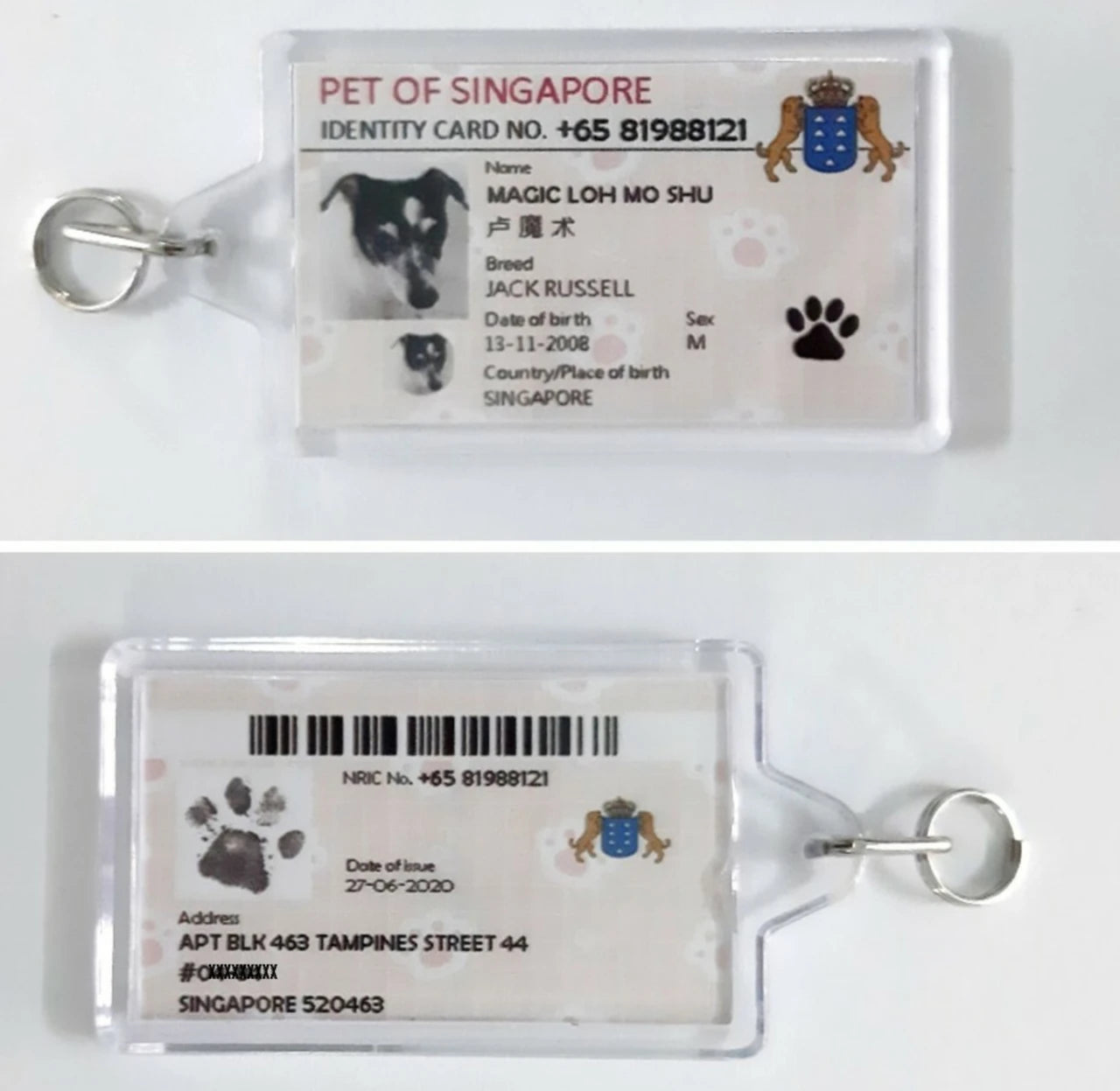 Mini Identification Card and Pet Collar Tag