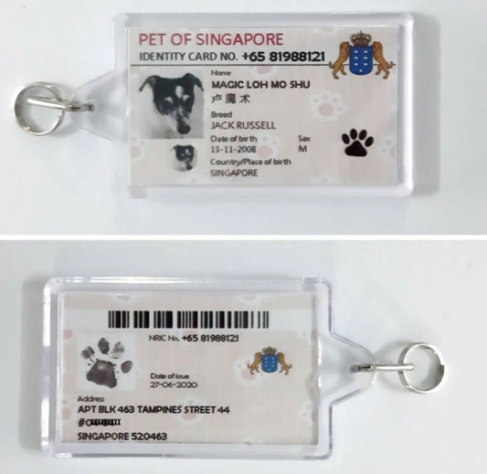 Mini Identification Card and Pet Collar Tag